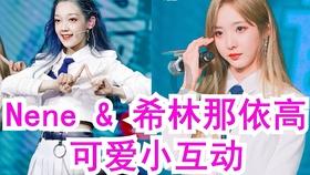 奇妙香蕉之旅